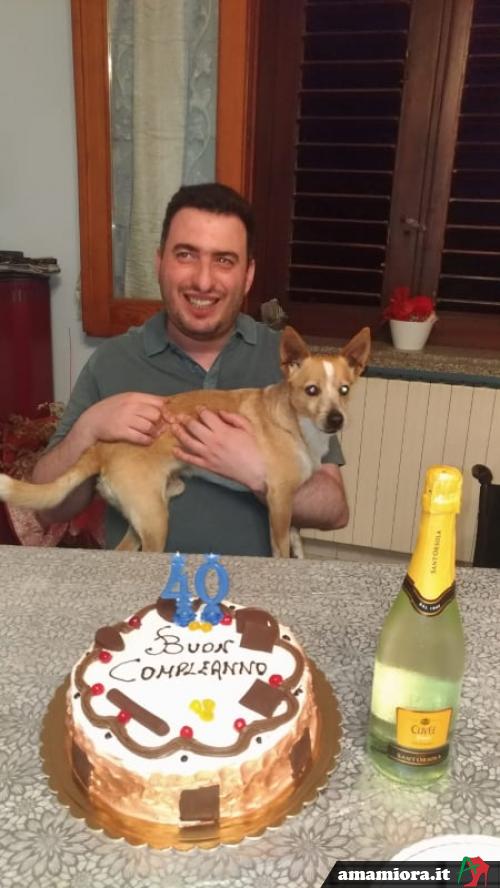 mimmo79 - date a Italian, 100% free mimmo79