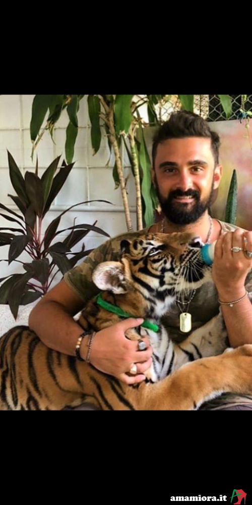 domenico23 - date a Italian, 100% free domenico23