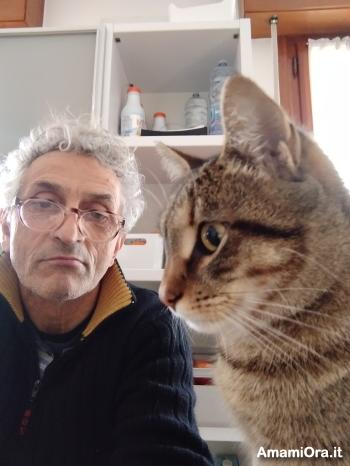 micio61 - date a Italian, 100% free micio61