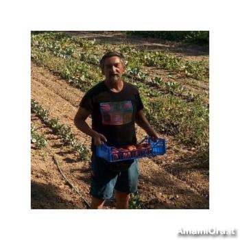 roger60 - date a Italian, 100% free roger60