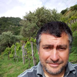 tintin - date a Italian, 100% free tintin