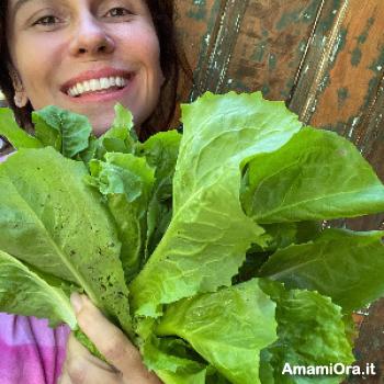 brisson - date a Italian, 100% free brisson