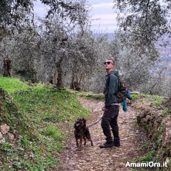 mattarello - date a Italian, 100% free mattarello